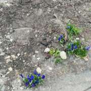 ヒメ日記 2025/04/13 19:12 投稿 吉永　かのん ソープランド蜜 人妻・美熟女専門店