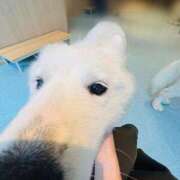 ヒメ日記 2025/07/04 17:57 投稿 吉永　かのん ソープランド蜜 人妻・美熟女専門店