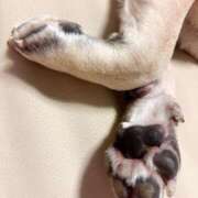 ヒメ日記 2025/09/28 02:32 投稿 吉永　かのん ソープランド蜜 人妻・美熟女専門店