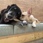 ヒメ日記 2025/10/14 18:28 投稿 吉永　かのん ソープランド蜜 人妻・美熟女専門店