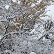 ヒメ日記 2025/11/08 09:12 投稿 吉永　かのん ソープランド蜜 人妻・美熟女専門店