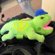 ヒメ日記 2025/11/30 10:42 投稿 吉永　かのん ソープランド蜜 人妻・美熟女専門店