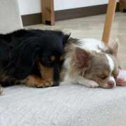 ヒメ日記 2026/02/03 18:22 投稿 吉永　かのん ソープランド蜜 人妻・美熟女専門店