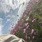 ヒメ日記 2025/11/24 22:57 投稿 秋野-あきの- ただ離婚してないだけ