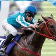 ヒメ日記 2025/06/08 14:40 投稿 川辺琴子 五十路マダム 新潟店(カサブランカグループ)