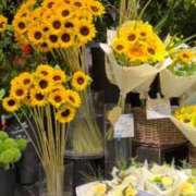 ヒメ日記 2025/07/13 15:28 投稿 川辺琴子 五十路マダム 新潟店(カサブランカグループ)