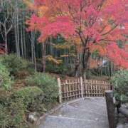 ヒメ日記 2024/12/06 15:35 投稿 けい 熟女家 豊中蛍池店