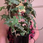 ヒメ日記 2025/02/09 11:52 投稿 けい 熟女家 豊中蛍池店