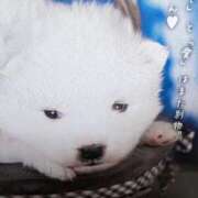 ヒメ日記 2025/02/23 13:24 投稿 けい 熟女家 豊中蛍池店