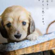 ヒメ日記 2025/03/02 11:21 投稿 けい 熟女家 豊中蛍池店