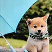 ヒメ日記 2025/05/17 11:26 投稿 けい 熟女家 豊中蛍池店