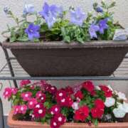 ヒメ日記 2025/12/20 17:04 投稿 けい 熟女家 豊中蛍池店