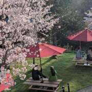 ヒメ日記 2026/04/07 11:32 投稿 けい 熟女家 豊中蛍池店