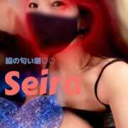 ヒメ日記 2024/12/19 08:41 投稿 聖来（せいら） 変態clubラツィエル