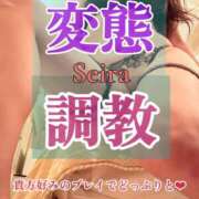 ヒメ日記 2025/10/05 23:36 投稿 聖来（せいら） 変態clubラツィエル