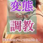 ヒメ日記 2025/12/12 14:14 投稿 聖来（せいら） 変態clubラツィエル