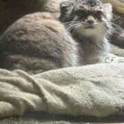 ヒメ日記 2025/09/09 11:56 投稿 湊-Minato- 姉新地