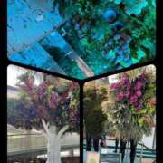 ヒメ日記 2025/04/24 17:54 投稿 ゆう 千葉人妻花壇