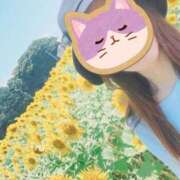 ヒメ日記 2025/07/24 15:44 投稿 ゆう 千葉人妻花壇