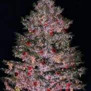 ヒメ日記 2024/12/20 20:36 投稿 みゆき カワサキ EROTIC