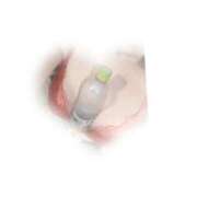 ヒメ日記 2024/12/24 07:32 投稿 みゆき カワサキ EROTIC