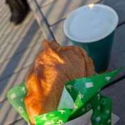 ヒメ日記 2025/01/01 16:16 投稿 みゆき カワサキ EROTIC