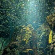 ヒメ日記 2025/02/02 16:29 投稿 みゆき カワサキ EROTIC