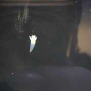 ヒメ日記 2025/03/11 07:32 投稿 みゆき カワサキ EROTIC