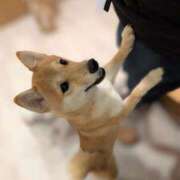 ヒメ日記 2025/03/20 15:59 投稿 みゆき カワサキ EROTIC