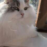 ヒメ日記 2025/03/21 06:32 投稿 みゆき カワサキ EROTIC