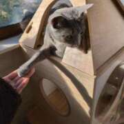 ヒメ日記 2025/03/24 20:01 投稿 みゆき カワサキ EROTIC