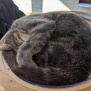 ヒメ日記 2025/04/02 06:32 投稿 みゆき カワサキ EROTIC