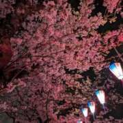 ヒメ日記 2025/04/03 21:11 投稿 みゆき カワサキ EROTIC