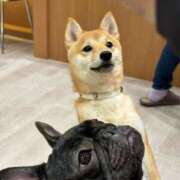 ヒメ日記 2025/04/22 01:59 投稿 みゆき カワサキ EROTIC