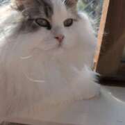 ヒメ日記 2025/05/24 13:19 投稿 みゆき カワサキ EROTIC