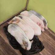 ヒメ日記 2025/06/13 19:01 投稿 みゆき カワサキ EROTIC