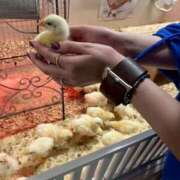 ヒメ日記 2025/07/09 13:00 投稿 みゆき カワサキ EROTIC