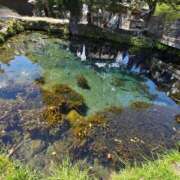 ヒメ日記 2025/07/21 13:41 投稿 みゆき カワサキ EROTIC