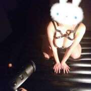 ヒメ日記 2025/08/18 06:36 投稿 みゆき カワサキ EROTIC