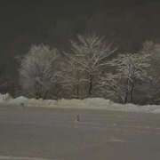 ヒメ日記 2026/01/24 05:43 投稿 みゆき カワサキ EROTIC