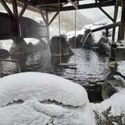 ヒメ日記 2026/01/29 19:20 投稿 みゆき カワサキ EROTIC