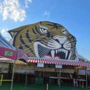 ヒメ日記 2026/02/01 17:01 投稿 みゆき カワサキ EROTIC