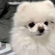 ヒメ日記 2025/09/17 17:51 投稿 かな 東京♂風俗の神様 町田・相模原店