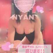 ヒメ日記 2024/07/14 00:46 投稿 ニャン【愛嬌抜群！爆乳少女】 バニーコレクション 中洲店