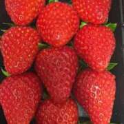 ヒメ日記 2026/01/06 00:33 投稿 しょうか★岡田紗佳似の巨乳JD Chloe鶯谷・上野店 S級素人清楚系デリヘル