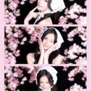 ヒメ日記 2026/05/03 12:27 投稿 CECIL GRAND STAGE