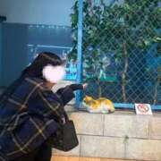 あいる 出勤っ マリアージュ熊谷