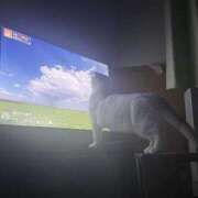 ヒメ日記 2026/10/04 23:50 投稿 あいる マリアージュ熊谷