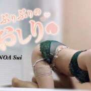 ヒメ日記 2024/12/15 12:50 投稿 穂（すい） NOA（ノア）