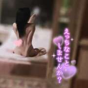 ヒメ日記 2024/12/20 12:10 投稿 穂（すい） NOA（ノア）